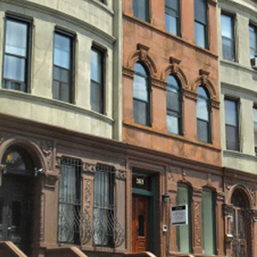 Local Services in Harlem and the Bronx