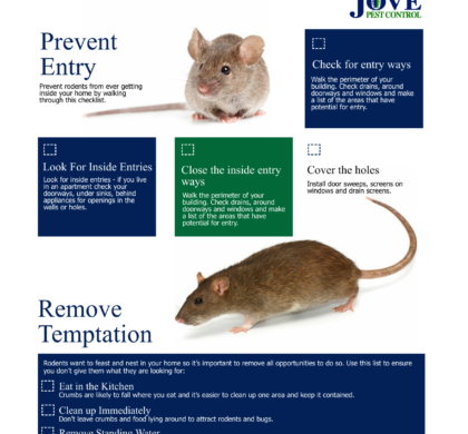 Rodent Prevention Checklist