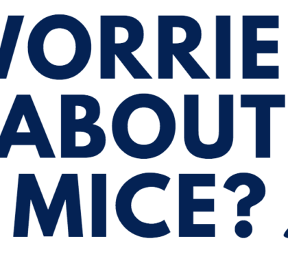 Mice Exterminators