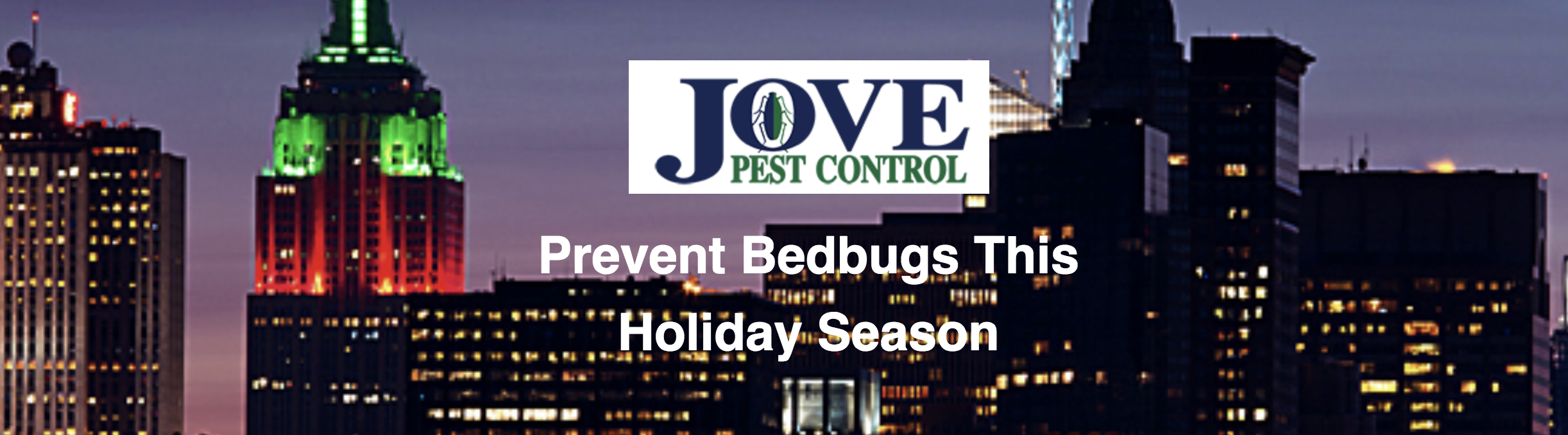 4 Tips To Prevent Bedbugs This Holiday Season
